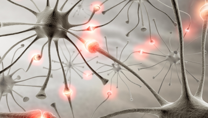 Techniques neurodynamiques appliquées aux pathologies neurologiques périphériques Techniques neurodynamiques appliquées aux pathologies neurologiques périphériques