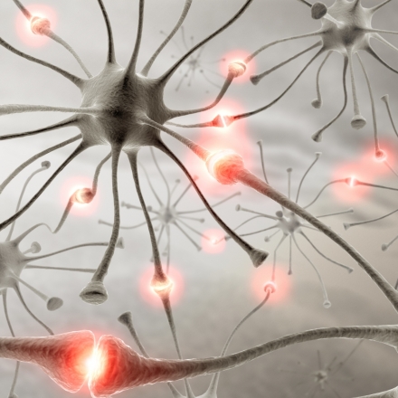 Techniques neurodynamiques 