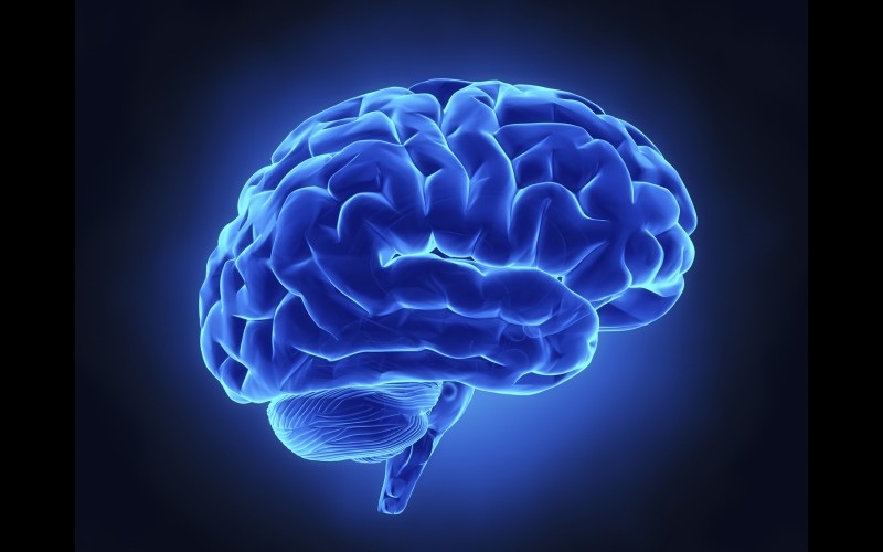 Nouvelle formation : Imagerie Mentale - Formation au concept de l'imagerie mentale et de l'observation motrice : Faut-il absolument bouger pour se rééduquer? Nouvelle formation : Imagerie Mentale - Formation au concept de l'imagerie mentale et de l'observation motrice : Faut-il absolument bouger pour se rééduquer?